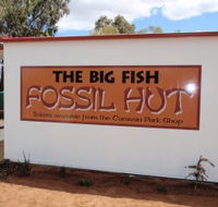 Big Fish Fossil Hut at Peak Hill - Surfers Paradise Gold Coast