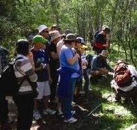 Warrumbungle National Park Discovery Program - Surfers Paradise Gold Coast