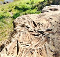 Terramungamine Rock Grooves - Surfers Paradise Gold Coast