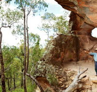 Pilliga National Park - Surfers Paradise Gold Coast
