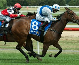 Ballarat Turf Club - Surfers Paradise Gold Coast 3