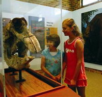 Australian Museum Diprotodon Exhibition - Surfers Paradise Gold Coast