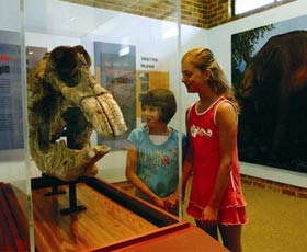 Australian Museum Diprotodon Exhibition - Surfers Paradise Gold Coast 0