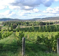 Sassy Wines - Surfers Paradise Gold Coast