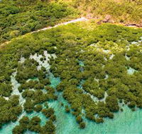 The Singapore Shipwreck Dive Site - Keswick Island - Surfers Paradise Gold Coast