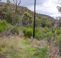 Lynchs loop trail - Surfers Paradise Gold Coast
