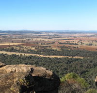Basin Gully to Eualdrie lookout track - Surfers Paradise Gold Coast