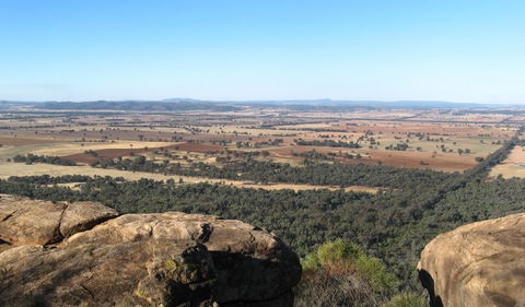 Basin Gully To Eualdrie Lookout Track - Surfers Paradise Gold Coast 0