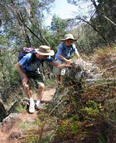  Surfers Paradise Gold Coast
