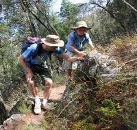 Mount Arthur Reserve - Surfers Paradise Gold Coast