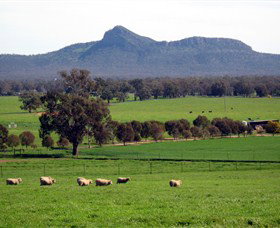 The Rock Nature Reserve - Surfers Paradise Gold Coast 0