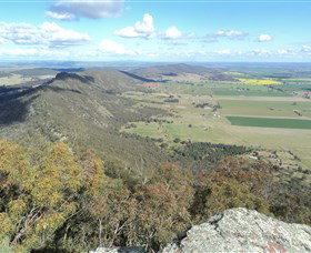 The Rock Nature Reserve - Surfers Paradise Gold Coast 3