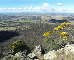 The Rock Nature Reserve - Surfers Paradise Gold Coast 4