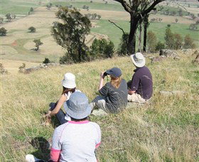 The Rock Nature Reserve - Surfers Paradise Gold Coast 2