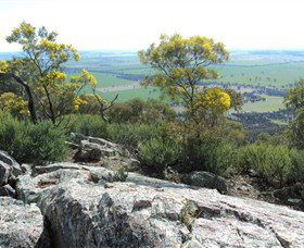 The Rock Nature Reserve - Surfers Paradise Gold Coast 6