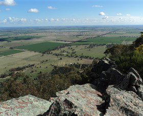 The Rock Nature Reserve - Surfers Paradise Gold Coast 5