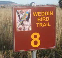 Weddin Bird Trails - Surfers Paradise Gold Coast