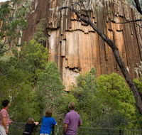 Sawn Rocks walking track - Surfers Paradise Gold Coast