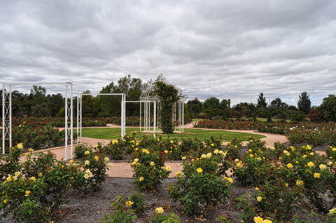Australian Inland Botanic Gardens - Surfers Paradise Gold Coast 0