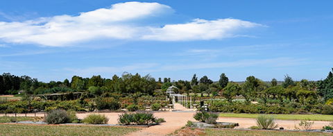 Australian Inland Botanic Gardens - Surfers Paradise Gold Coast 5