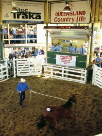 Gracemere Exhibition Complex - Surfers Paradise Gold Coast 0