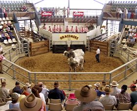 Gracemere Exhibition Complex - Surfers Paradise Gold Coast 1