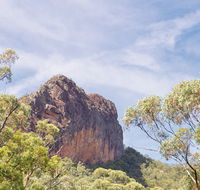Green Camp - Surfers Paradise Gold Coast