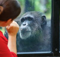 The Rockhampton Zoo - Surfers Paradise Gold Coast