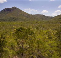 Kutini-Payamu Iron Range National Park CYPAL - Surfers Paradise Gold Coast