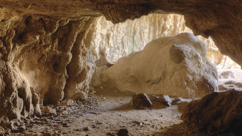 Borenore Karst Conservation Reserve - Surfers Paradise Gold Coast 1