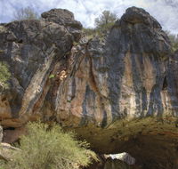 Borenore Karst Conservation Reserve - Surfers Paradise Gold Coast