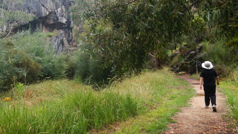 Borenore Karst Conservation Reserve - Surfers Paradise Gold Coast 3