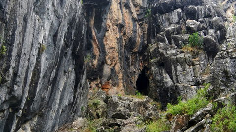 Borenore Karst Conservation Reserve - Surfers Paradise Gold Coast 2