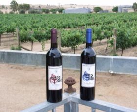 Eunanoreenya NSW Surfers Paradise Gold Coast