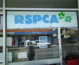 R.S.P.C.A Opportunity Shop - Surfers Paradise Gold Coast 0