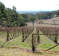 Habitat Vineyard - Surfers Paradise Gold Coast