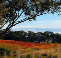 Bloodwood Estate - Surfers Paradise Gold Coast
