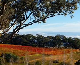 Bloodwood Estate - Surfers Paradise Gold Coast 0