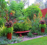 Out of Town Nursery and Humming Garden - Surfers Paradise Gold Coast