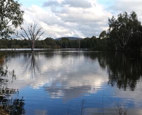Wonga Wetlands - Surfers Paradise Gold Coast 1