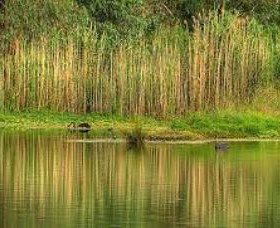 Wonga Wetlands - Surfers Paradise Gold Coast 2