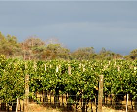 Amulet Vineyard And Beechworth Cider - Surfers Paradise Gold Coast 7