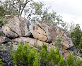 Frog Rock - Surfers Paradise Gold Coast 1