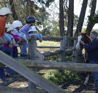 Harlow Park Horse Riding - Surfers Paradise Gold Coast