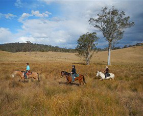 Howes Valley NSW Surfers Paradise Gold Coast