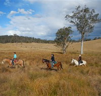 Chapman Valley Horse Riding - Surfers Paradise Gold Coast