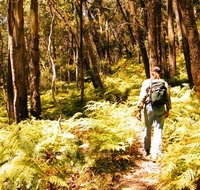 Federal Pass - Surfers Paradise Gold Coast