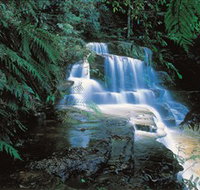 Leura Cascades - Surfers Paradise Gold Coast