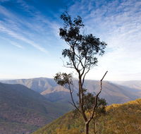 Salisbury Waters walking track - Surfers Paradise Gold Coast