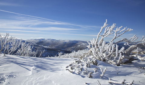 Rock Creek Snowshoe Track - Surfers Paradise Gold Coast 0